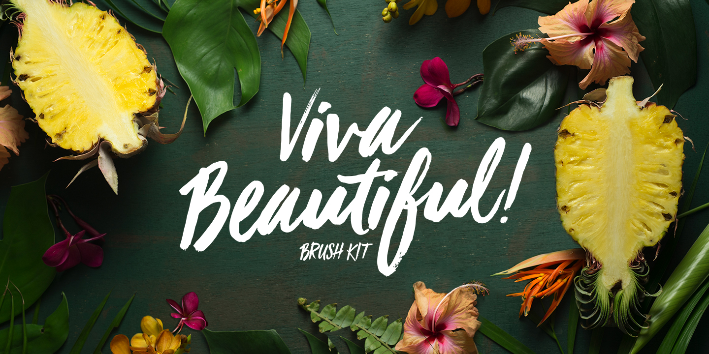 Beispiel einer Viva Beautiful Regular-Schriftart